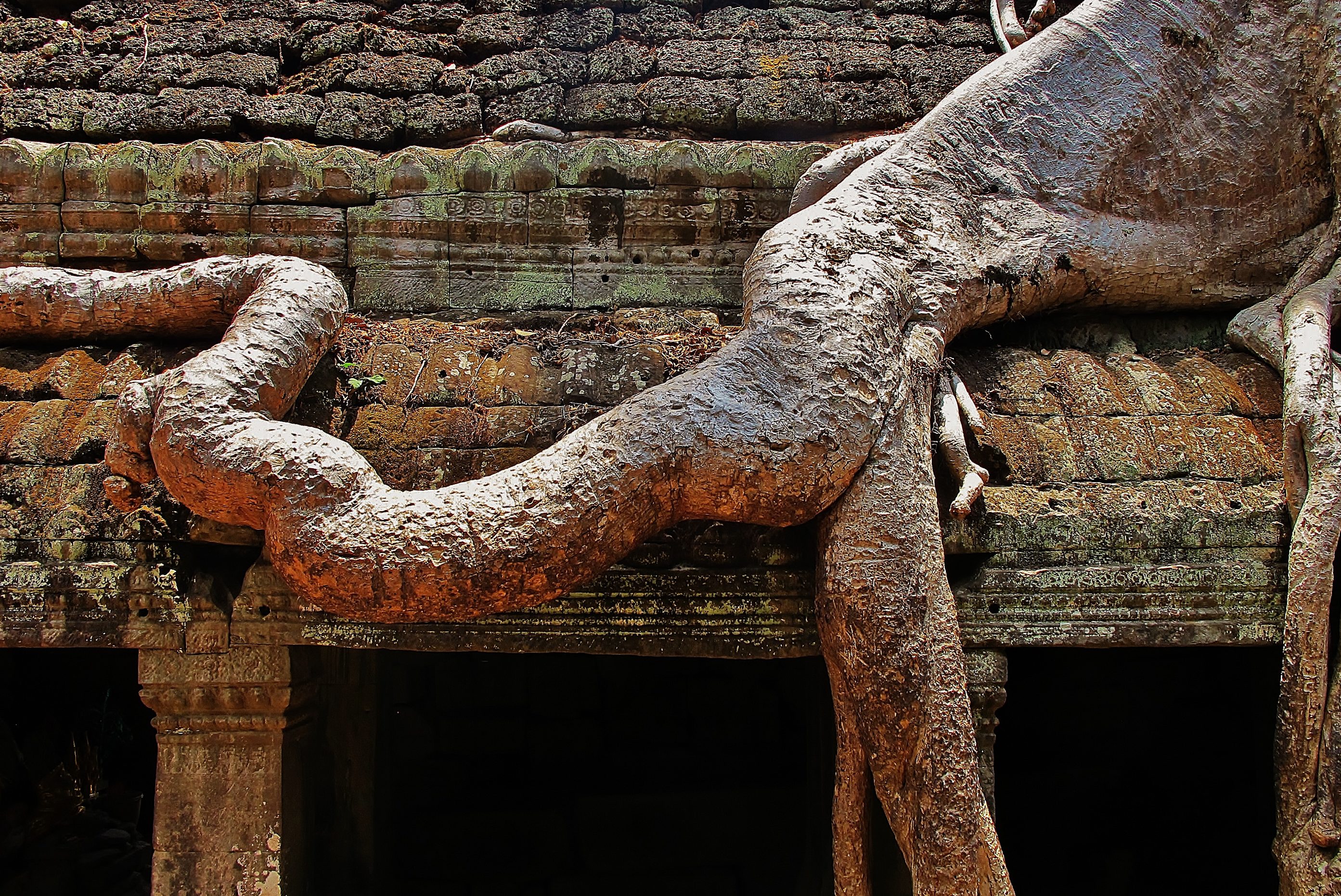 Angkor Visit